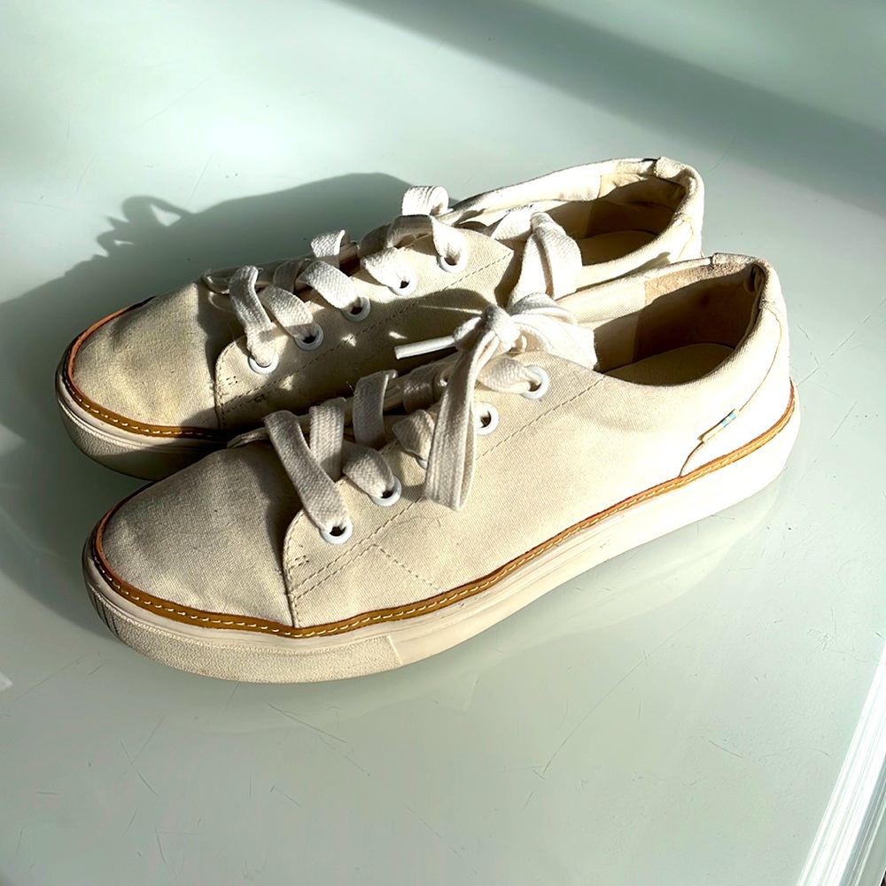 TOMS Alex sneaker in Birch
